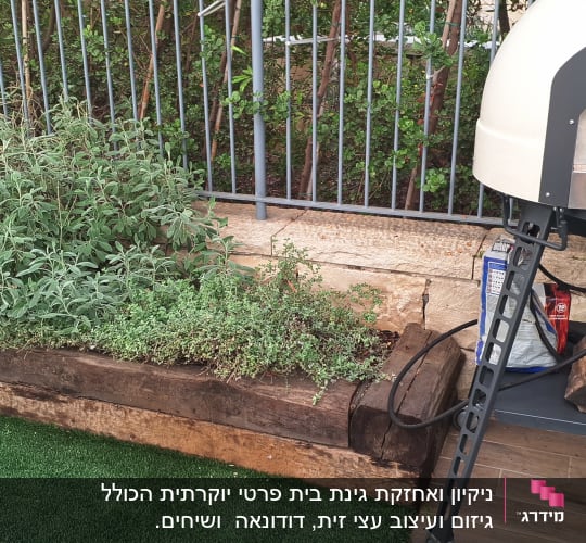 כלי גינון ליד ערוגת צמחים על דשא סינתטי